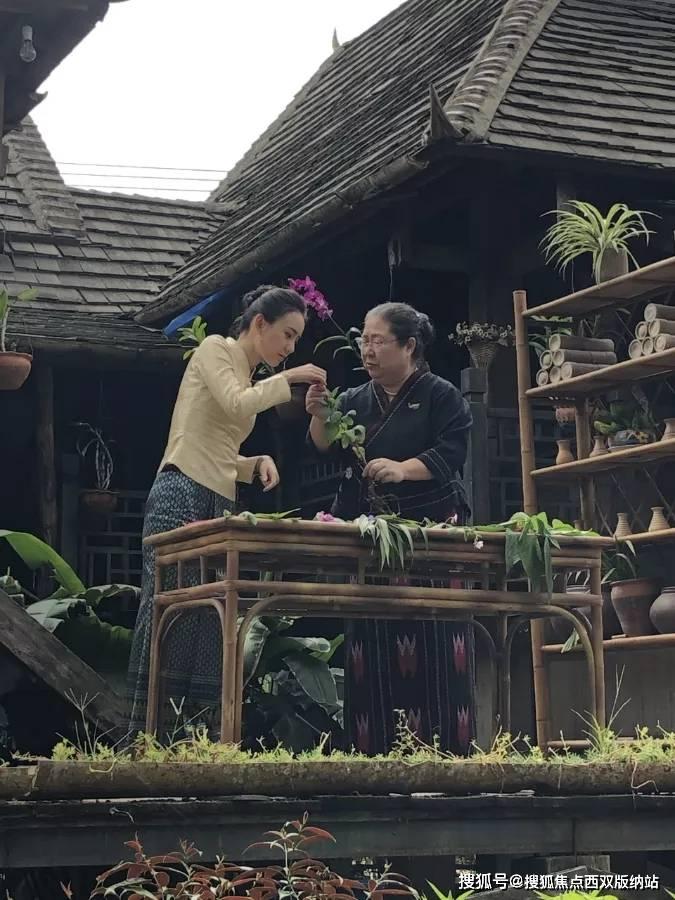 美妙夏季拼图