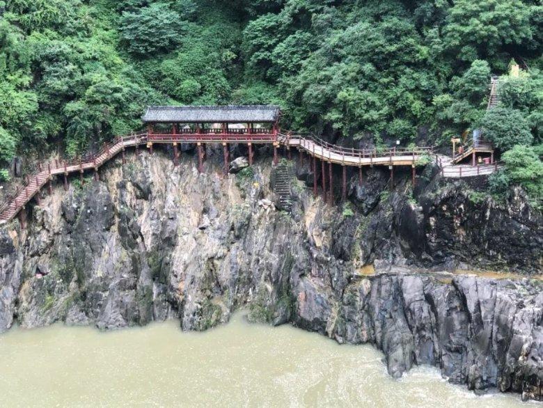解救金刚鹦鹉