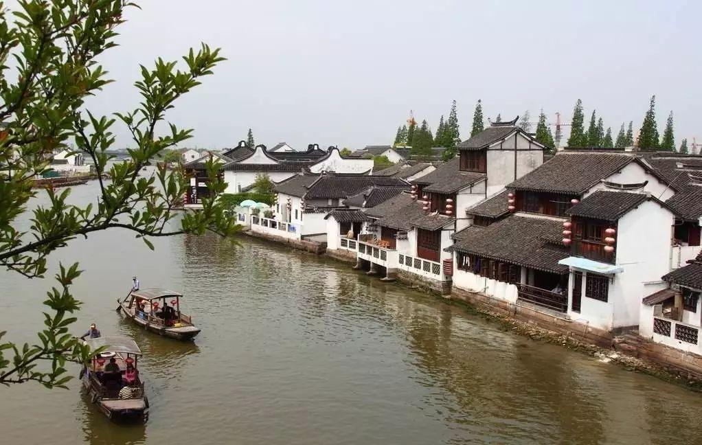 女子当着两个孩子的面，偷摘景区装饰灯笼