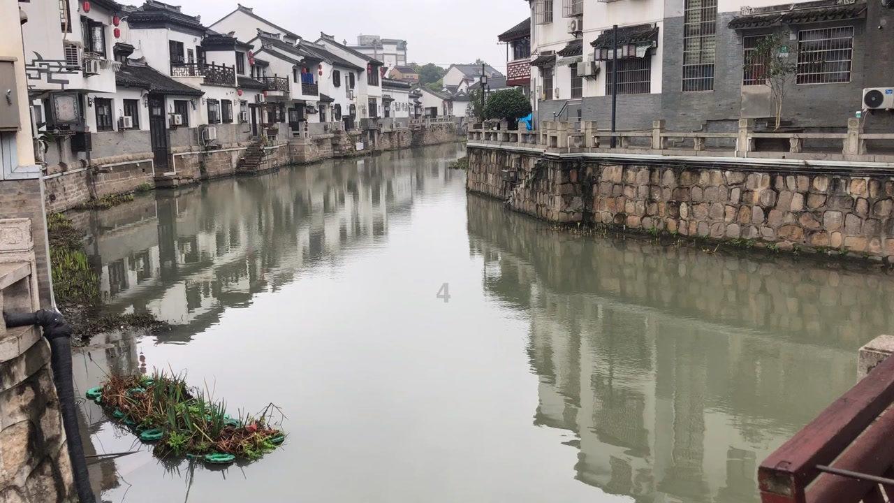红碱淖位于陕西省神木市与内蒙古自治区伊金霍洛旗之间